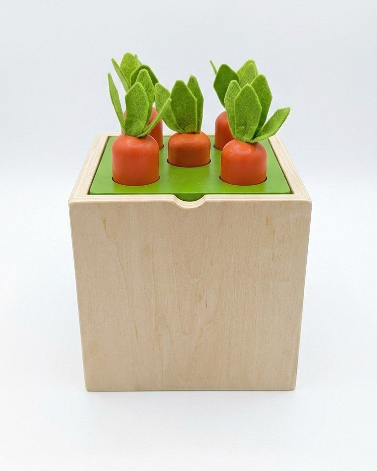 5-in-1 Montessori Wooden Activity Box – Shape Sorter & Fishing Set
